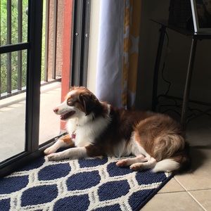 Meet your Posher, Diandrea